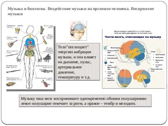Влияние музыки на человека проект. Влияние музыки на организм человека. Влияние музыки на организм человека. Влияние музыки на организм человека презентация. Положительное влияние музыки на человека.