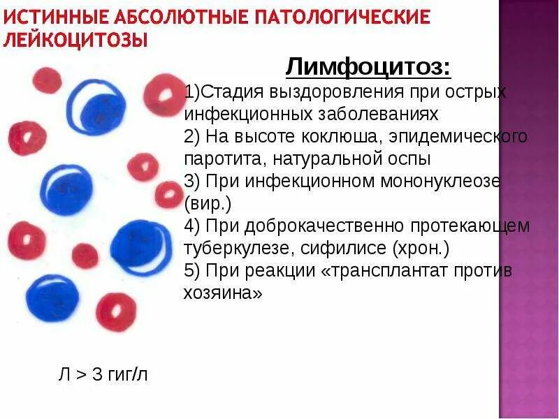 Снижение лейкоцитов и нейтрофилов. Лейкоцитоз увеличение количества лейкоцитов. Лейкоцитоз и лейкопения. Лейкоцитоз и лимфоцитоз. Лейкоцитоз что это у мужчин.