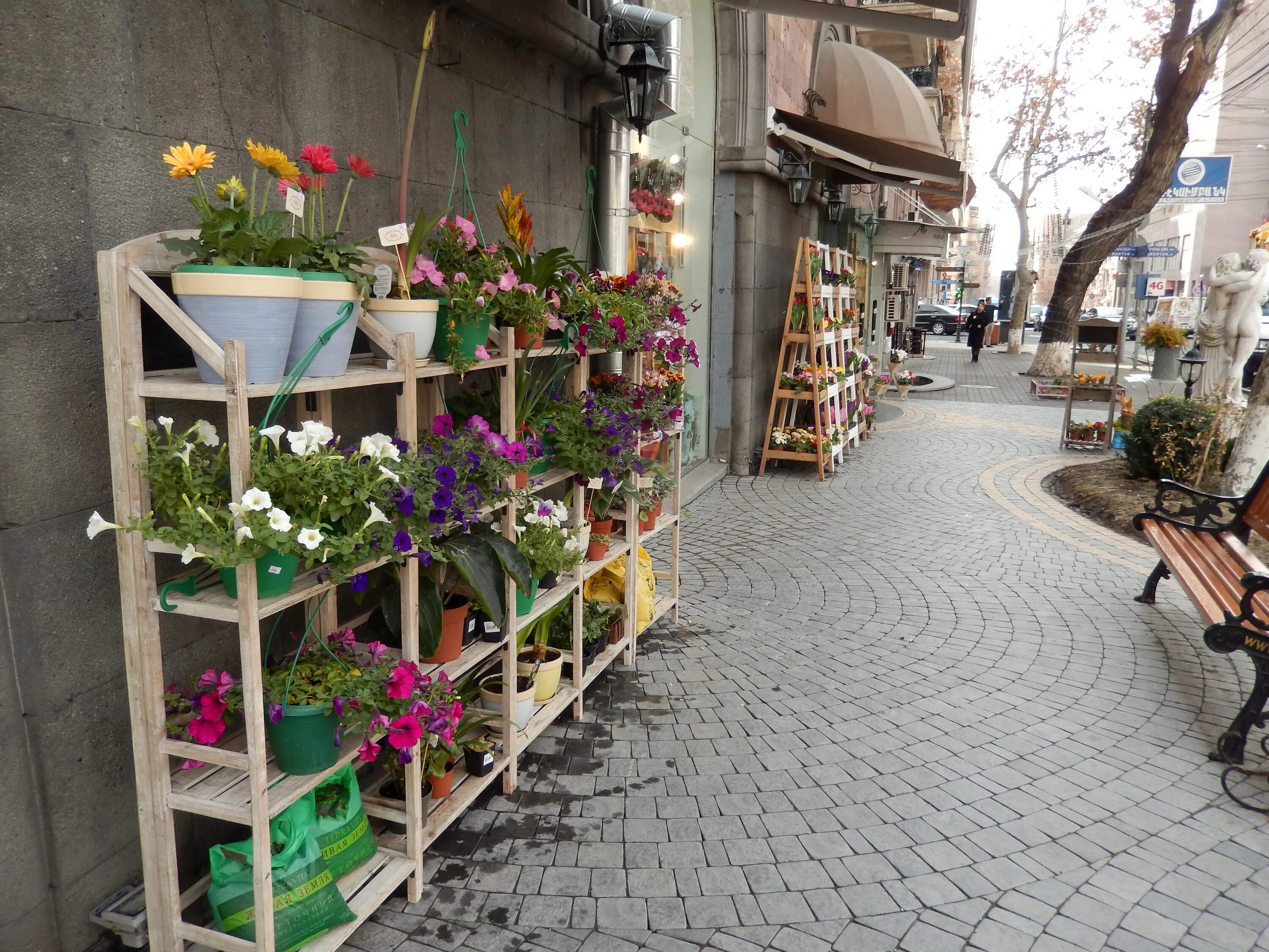 Any rose yerevan. Any rose am. Any rose sussy. Цветочный магазин в америке. Any rose am.