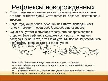Рефлексы первого месяца