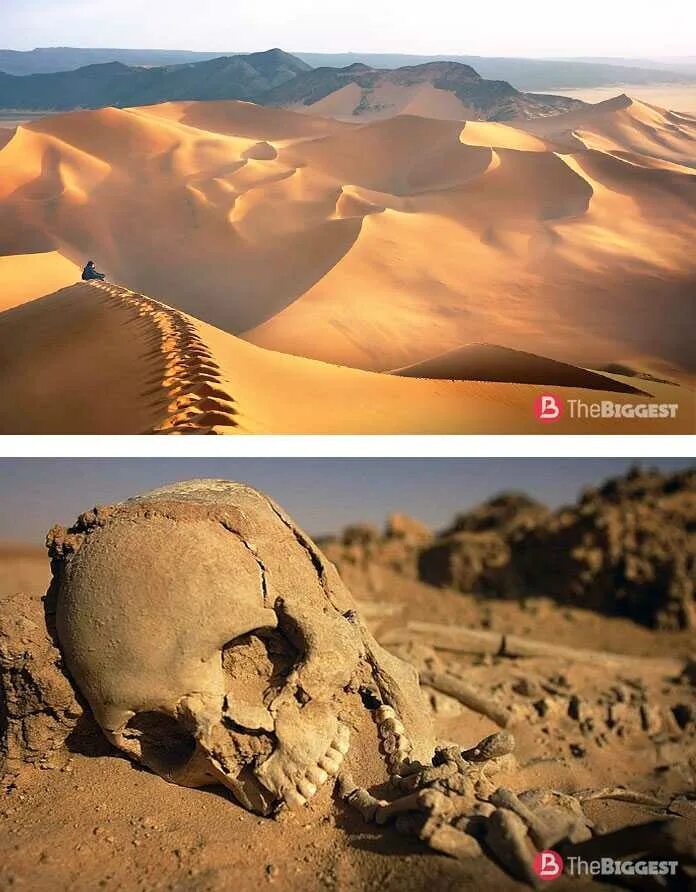 Наибольшая пустыня в мире. Пустыня Гоби территория. Гоби в Африке. Самая большая пустыня. Самая большая простыня в мире.