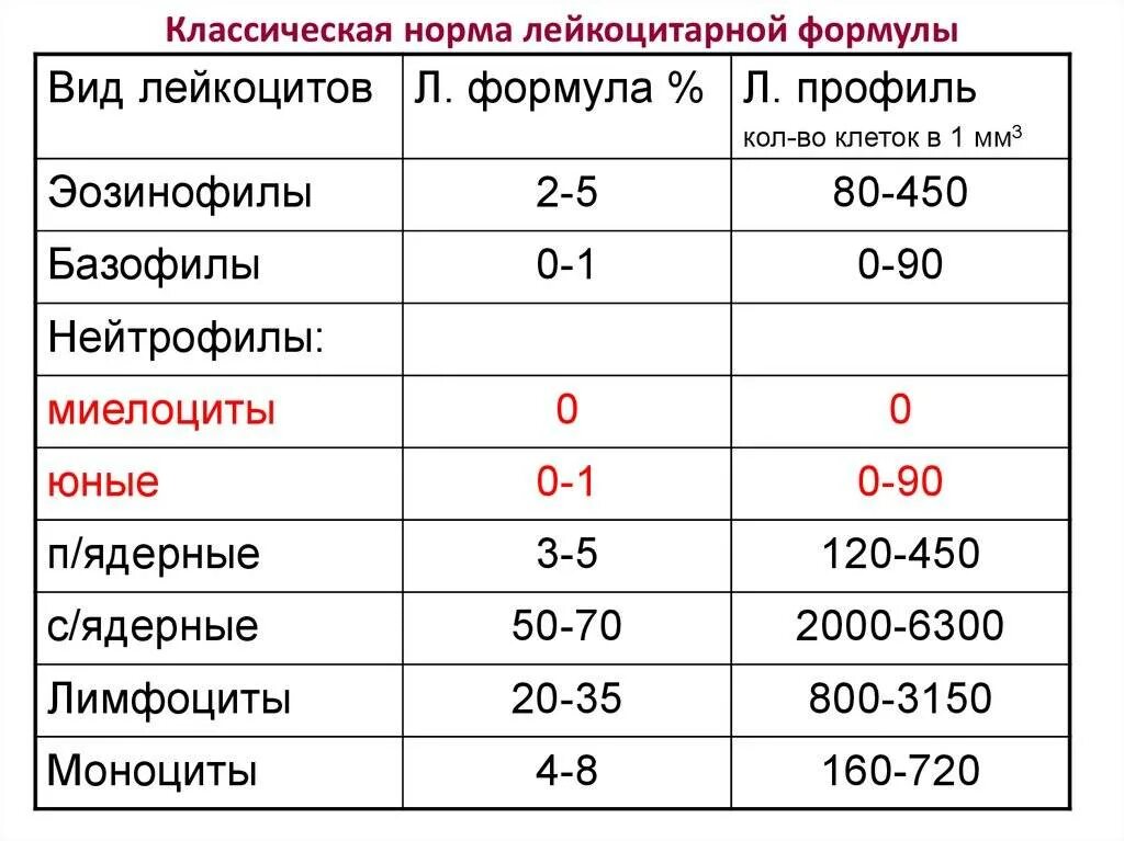 Лейкоцитов 0 что значит. Показатели лейкоцитарной формулы в норме. Нормальная лейкоцитарная формула крови. Абсолютное количество клеток крови норма. Нормы показателей лейкоформулы.