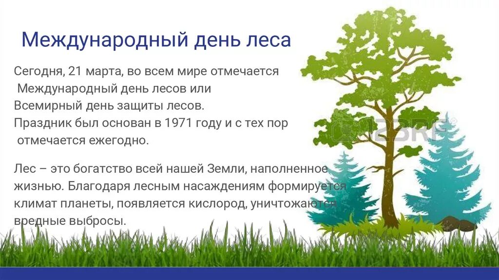 Международный день леса для детей. Международный день лесов. Международныйдерь лесов.