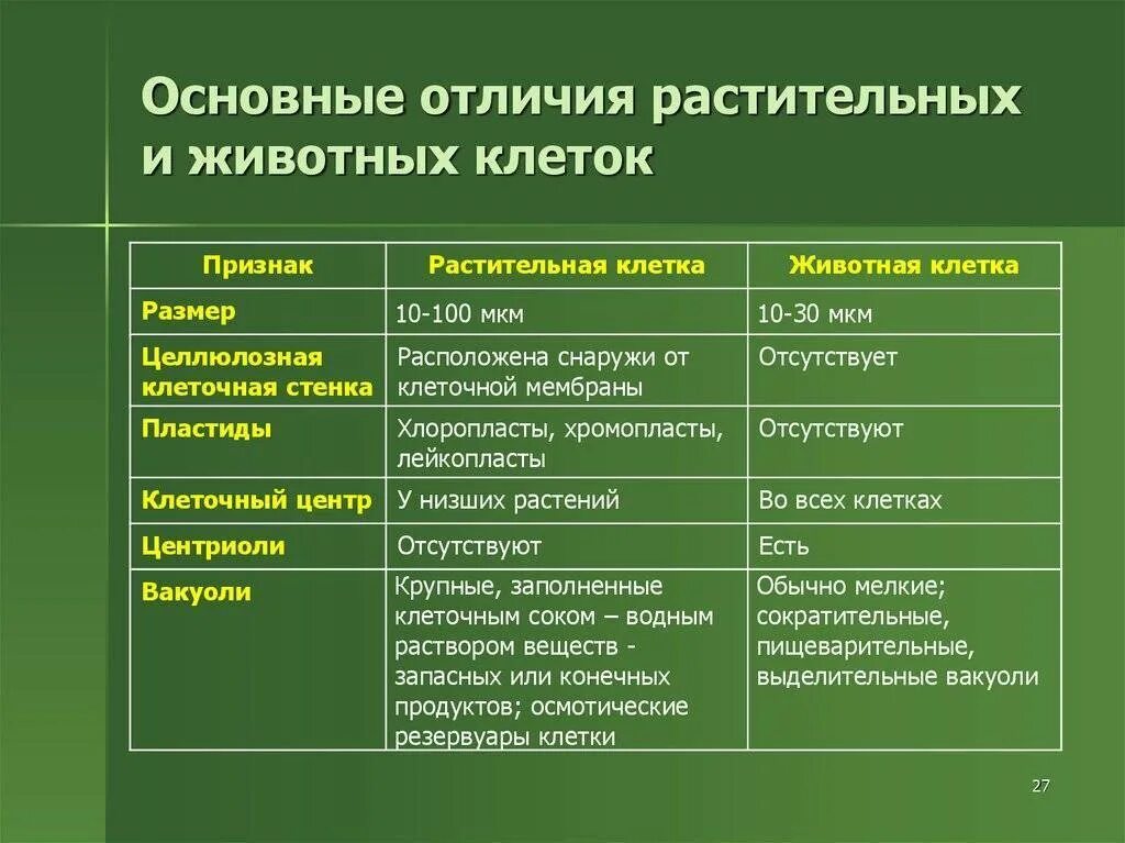 Клеточные признаки. Различия строения клетки животных и клетки растений. отличительные признаки растительной и животной клетки таблица. таблица признаки растительная клетка животная клетка. отличия растительной и животной клетки таблица.