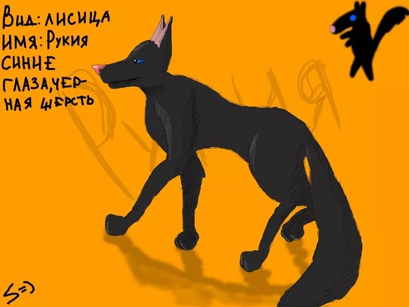 Имя для лисы. Имена для Лисов. Fox names