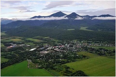 Лесная камчатский край