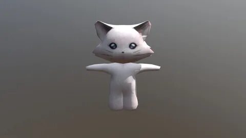 Zxc cat