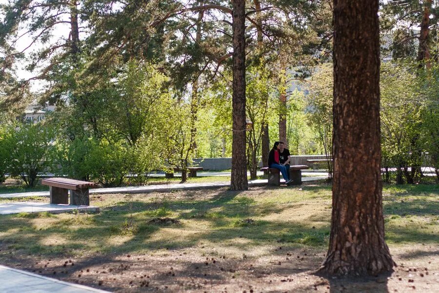 Парк пионеров чита ул журавлева. Пионерский парк чита. Пионерский парк тамбов. Парк пионеров чита. Парк пионеров.