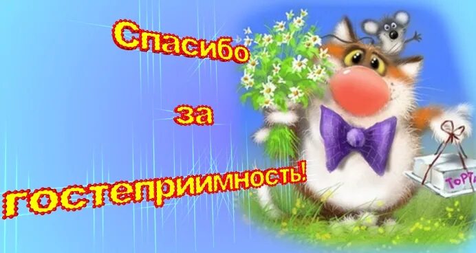 Выразить теплый прием. Спасибо за гостеприимство. спасибо загостепреимство. спасибо за гостеприимство и радушный прием. благодарность за гостеприимство.
