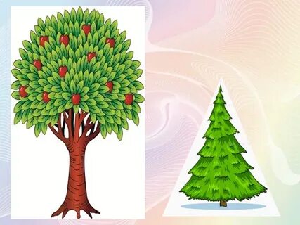 Әйелінің кискасын жуып жатқан суреті