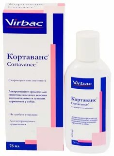 Цитопоинт