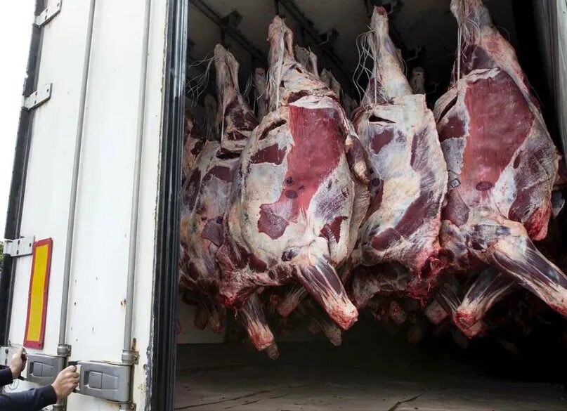 Транспортирование мясных продуктов. Фургоны для перевозки мясо. Перевозка продуктов. Машина для перевозки пищевых продуктов. Перевозка мяса в рефрижераторе.