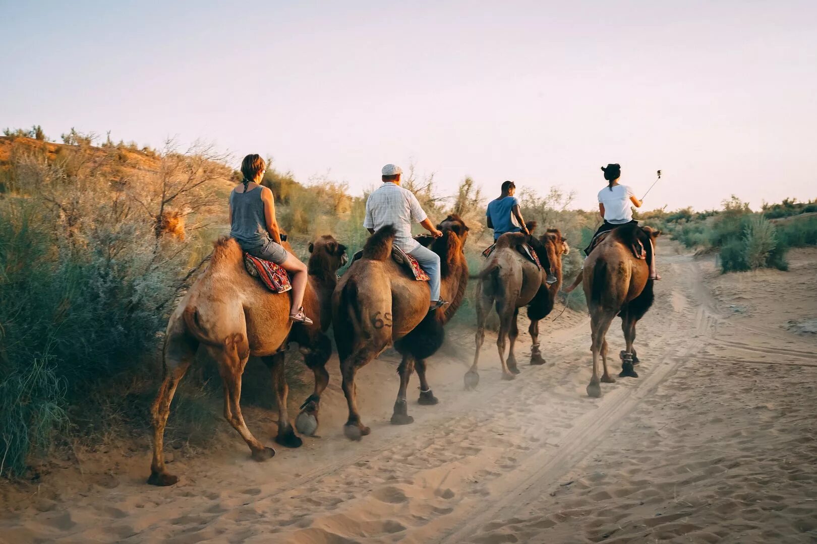 Силк роад /. Silk Road. Великий шелковый путь Центральная Азия. Великий шелковый путь Узбекистан. Великий шелковый путь туризм Узбекистан. Времена шелкового пути