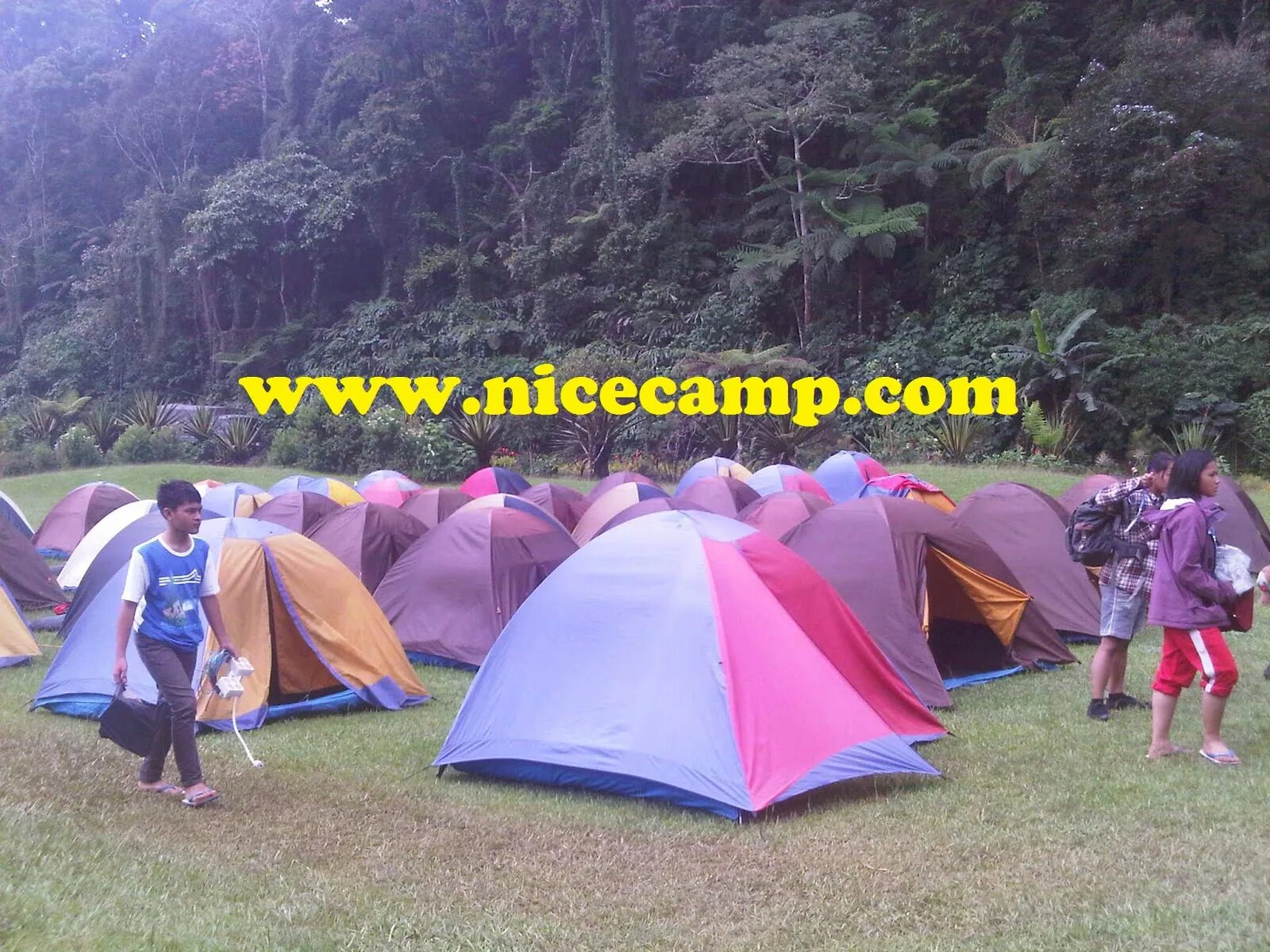 палатка camp tenda twin. Nice camp yag adventure. Nice camp. Harem camp adalah staff. Nice camp.