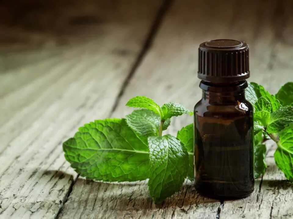 Эфирное масло мяты перечной. Мята перечная эфирное масло. Мята перечная масло. Перечная мята эфирное масло ирис. Эфирное масло мяты.