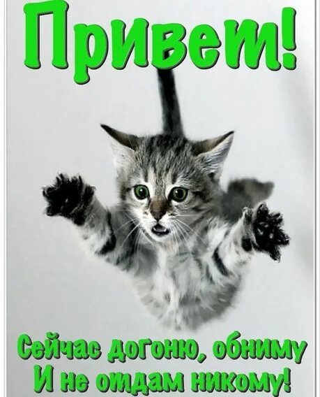 Привет сильная. Привет котенок. Привет от котика. Открытки давай обнимемся. Дай я тя обниму.