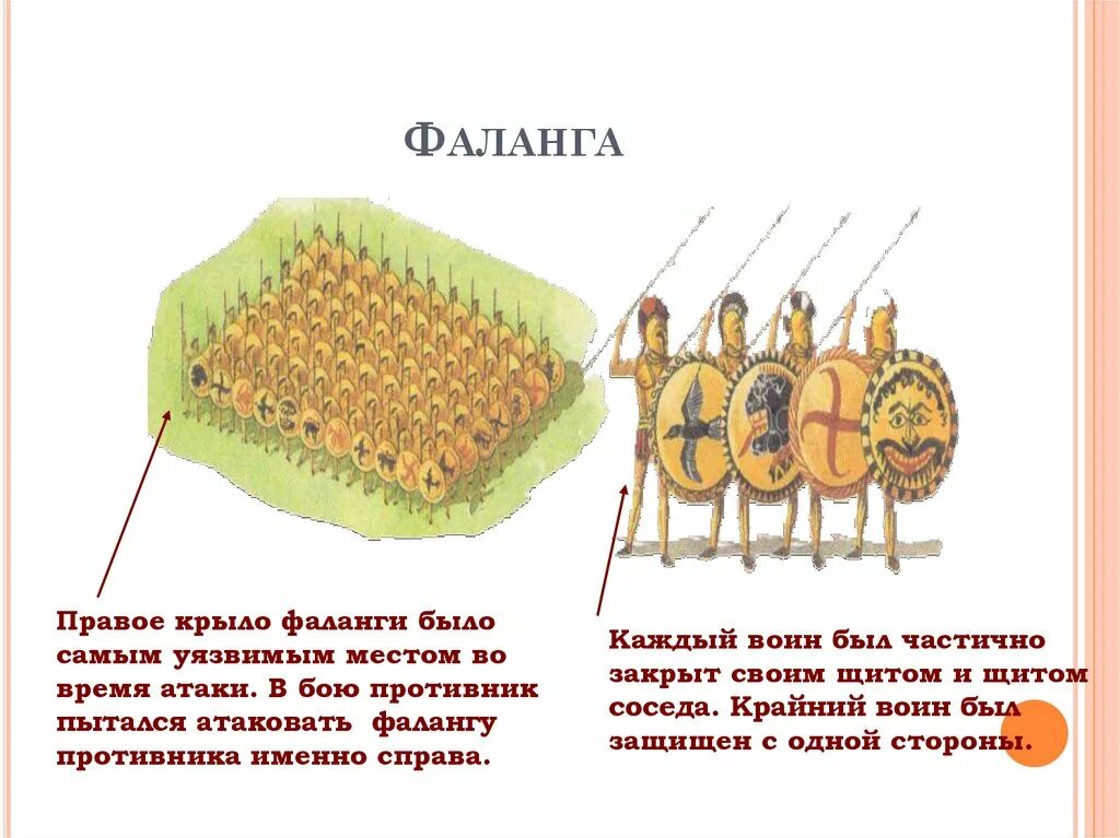 Схема македонской фаланги 5 класс. Македонская фаланга Строй. Греко-персидские войны фаланга. Фаланга боевое построение.