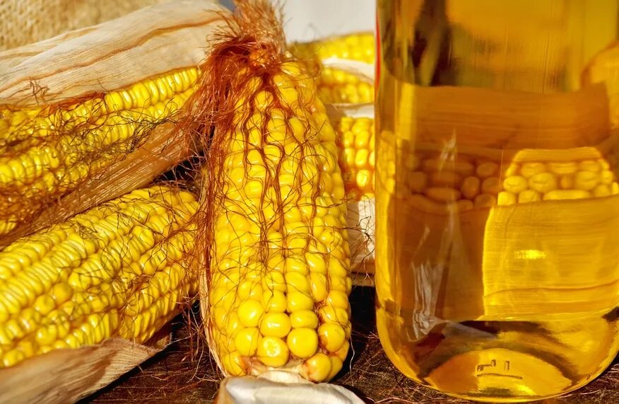 Кукурузное масло. Кукуруза с маслом. Кукурузное масло фото. Масло кукурузное марки р.