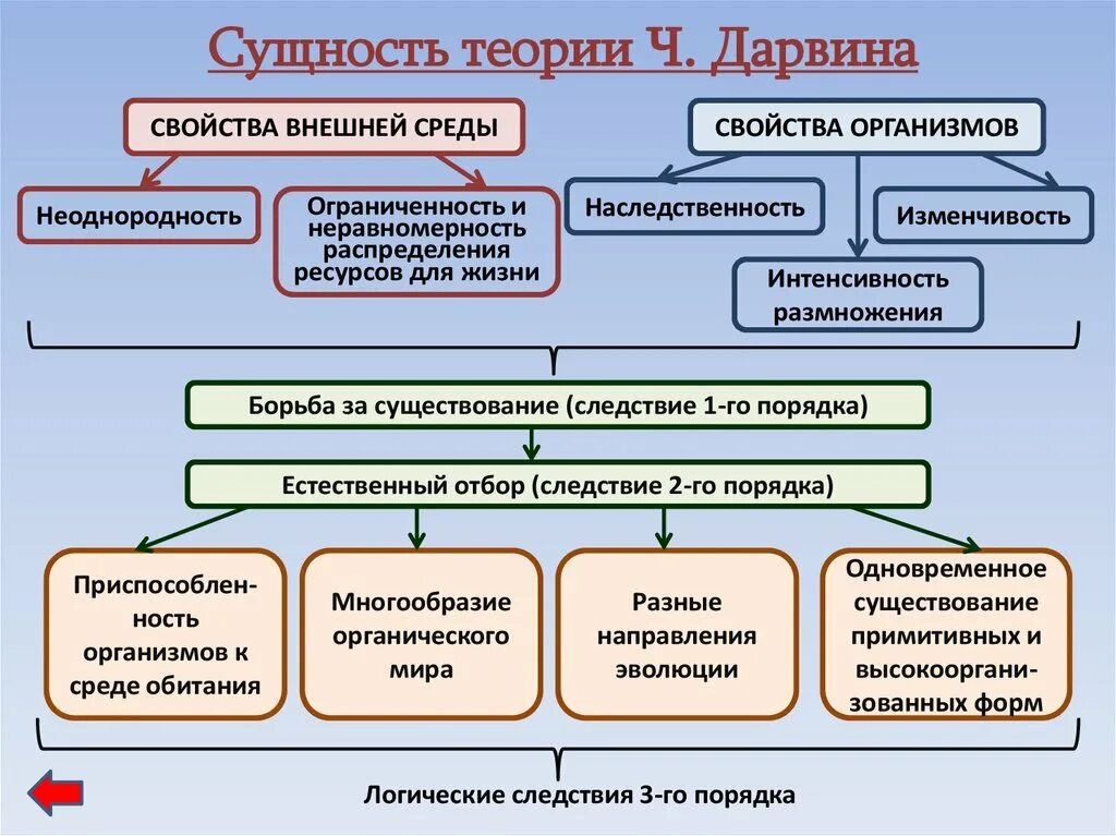 Способность организмов целесообразно реагировать на изменение условий. Эволюционная теория Дарвина схема. Логическая структура теории Дарвина схема. Структура эволюционной теории Дарвина. Механизм эволюции по Дарвину.