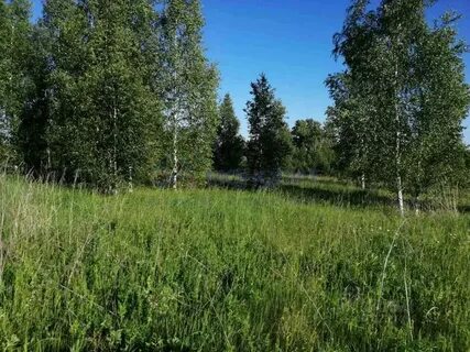Земельные участки нижегородская область