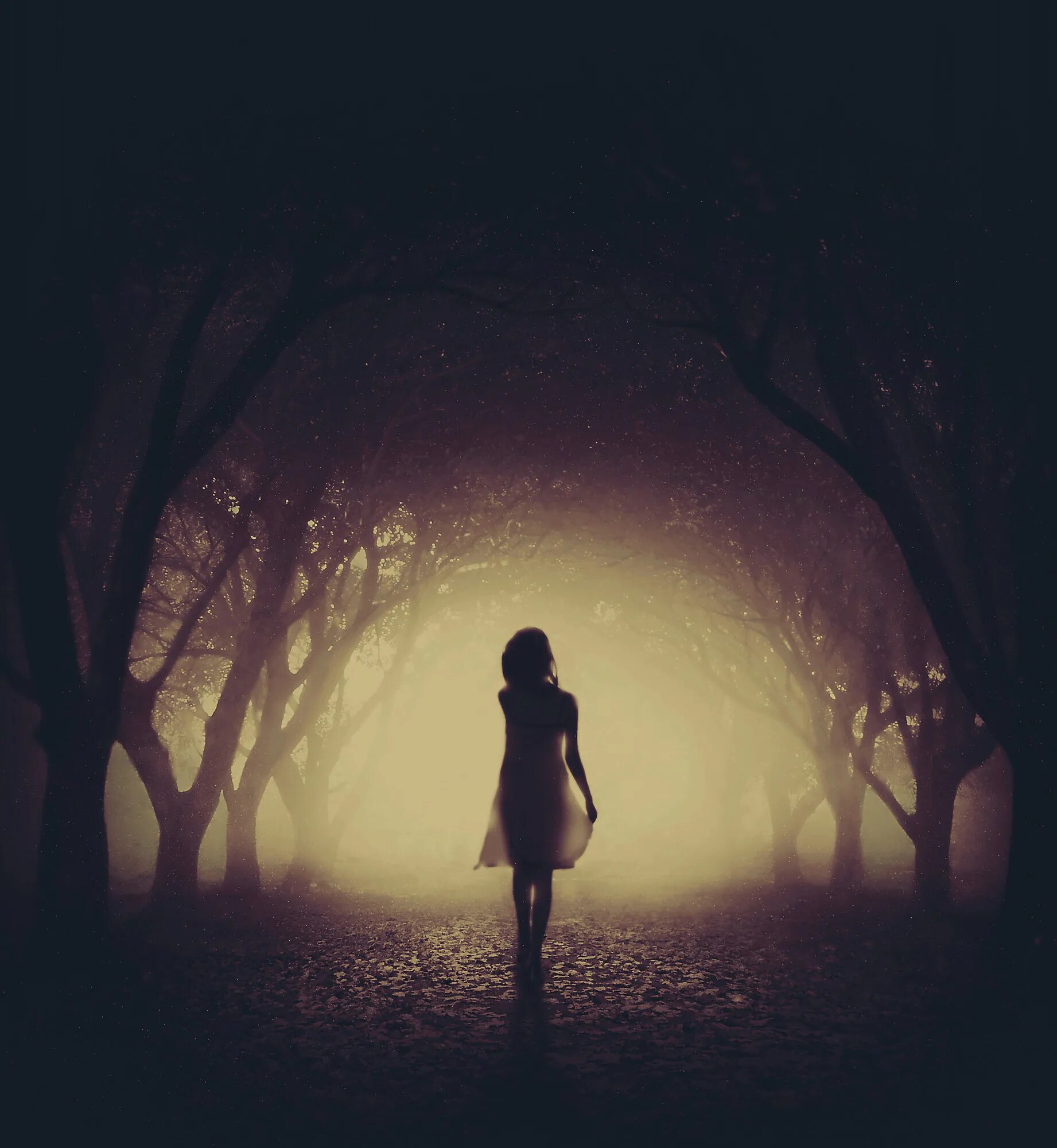 Уходящая девушка. Девушка во мраке. Девушка в туманном лесу. Девушка уходит в ночь. Загадочно манящим светом