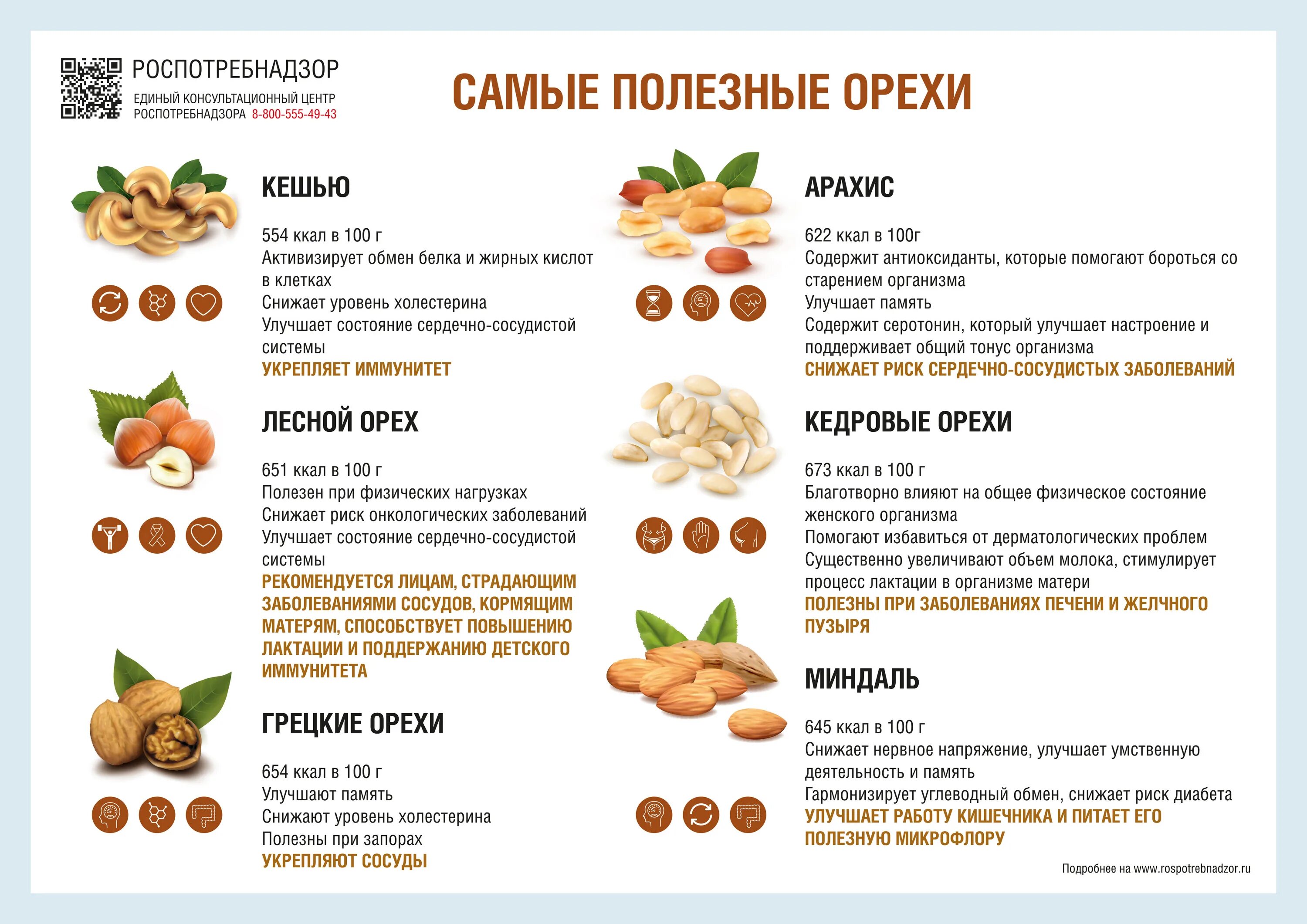 Грецкие орехи можно при грудном вскармливании. Орехи какие полезнее таблица. Орехи свойства полезность. Грецкий орех при гв 2 месяца. Какие орехи самые полезные для организма.