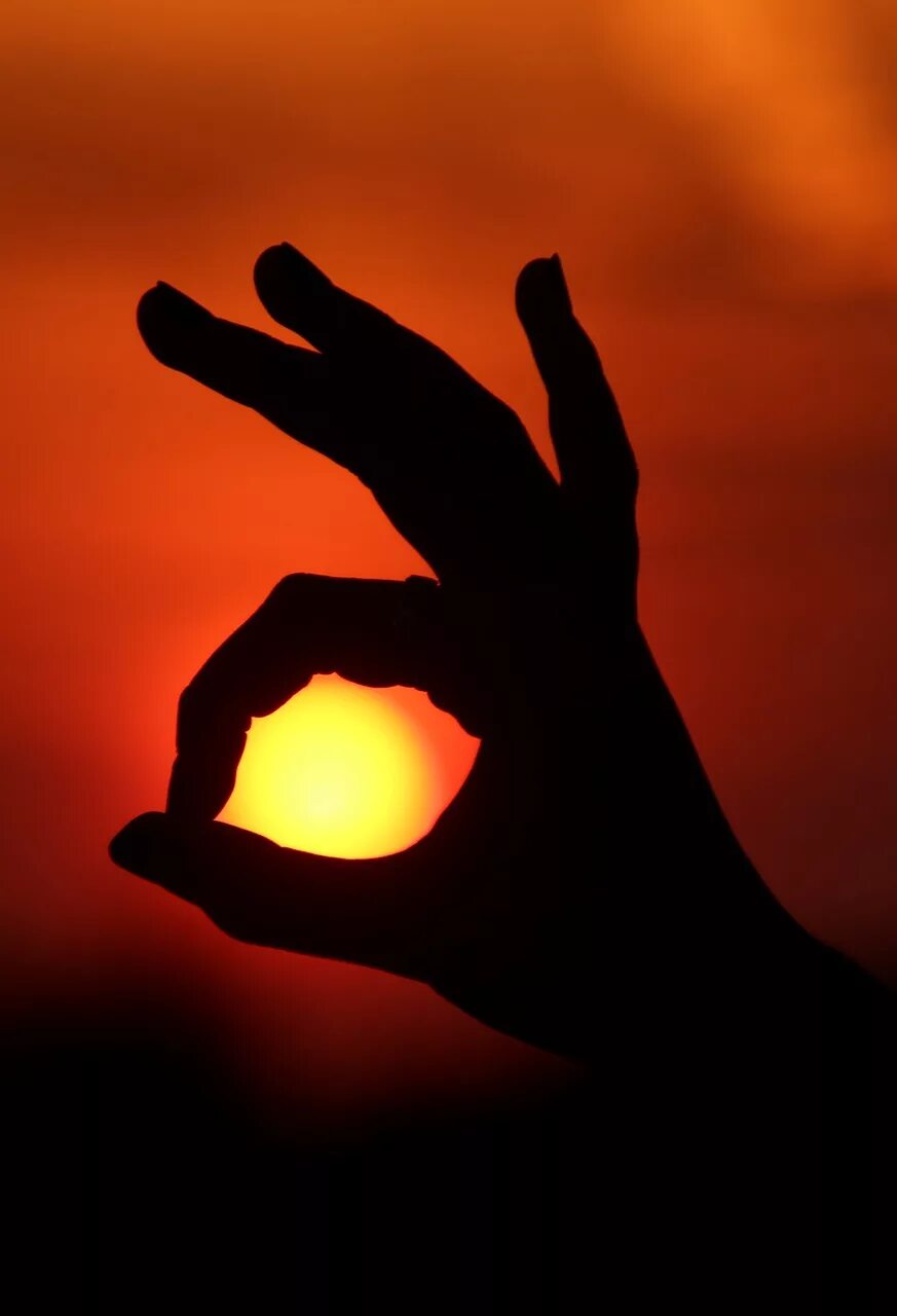 Hands sol