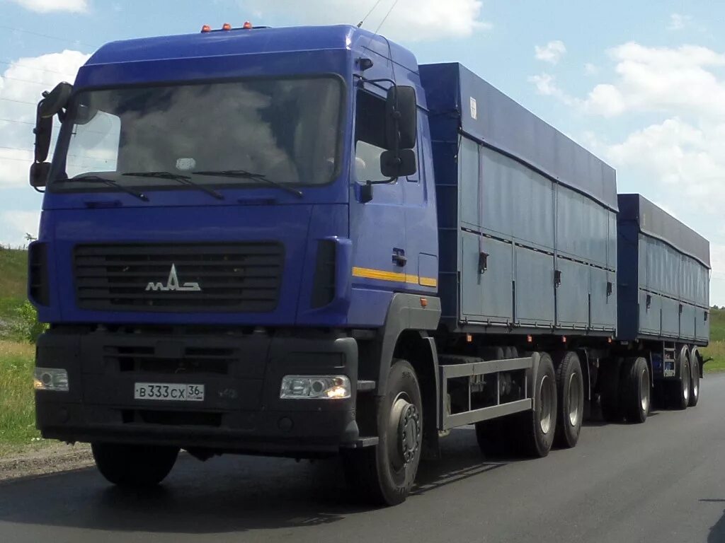 Маз 6312 зерновоз. Маз 6501в9 сельхозник. Маз 6303 1994. Маз 6312 зерновоз с прицепом. Маз зерновоз.