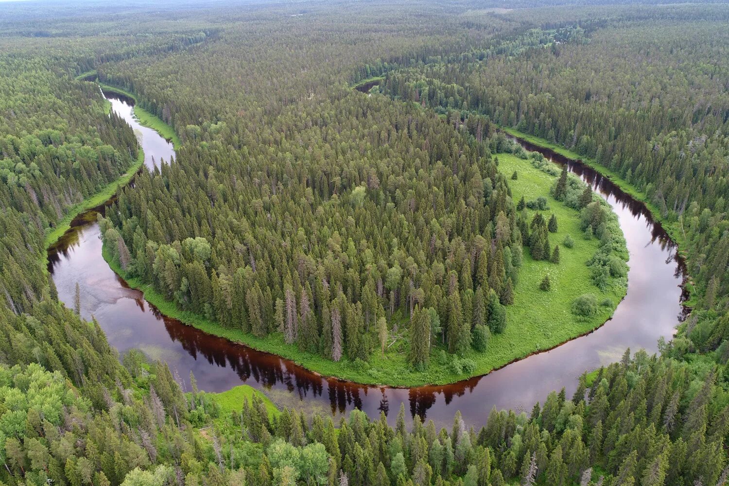 Ландшафт европейской части россии. Двинско-Пинежский заповедник в Архангельской области. Тайга Пинежский Архангельская область. Двинско-Пинежский Лесной массив (Архангельская область). Пинежский заповедник тайги.