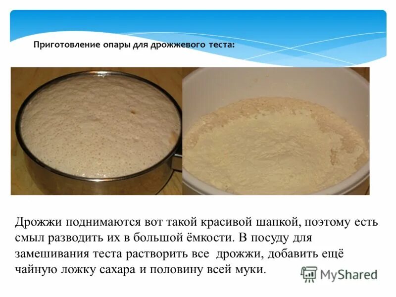 Как понять что тесто. Тесто без дрожжей. Опара дрожжи. Дрожжевое тесто в разрезе. Тесто без дрожжей.