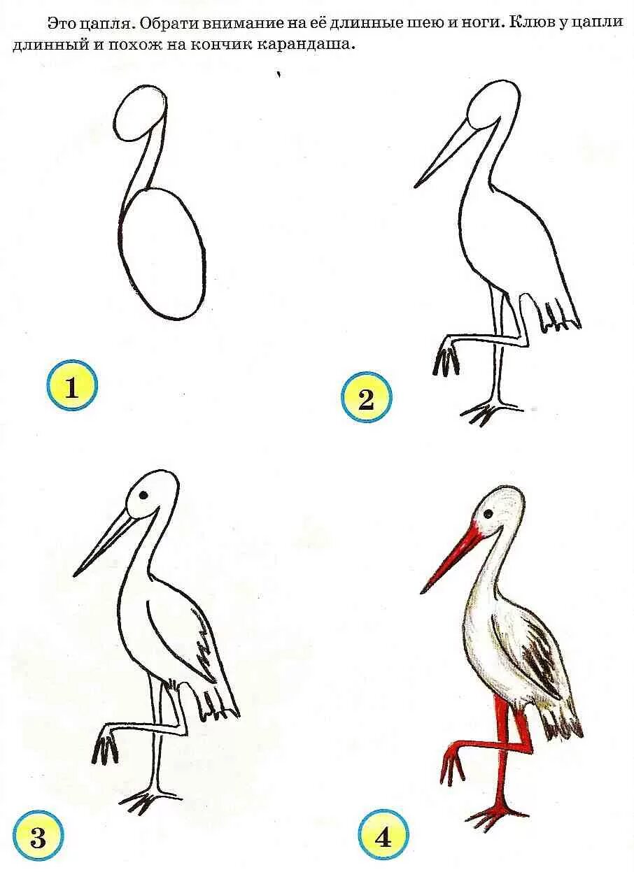Цапля рисунок для детей поэтапно. Цапля рисунок для детей карандашом. Нарисовать цаплю ребенку. Рисование Цапли поэтапно для детей. Нарисовать журавля поэтапно для детей