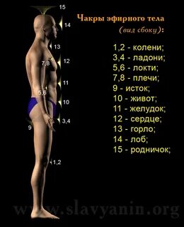 Дольше тел 3