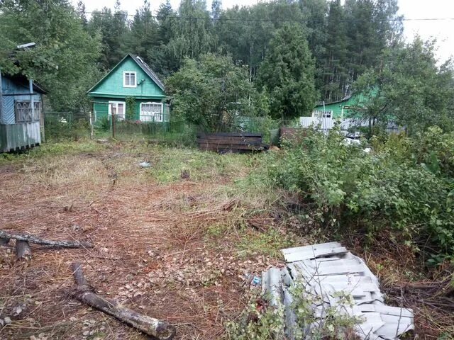 Орехово зуево снт участки. Снт феникс орехово-зуево. Орехово зуево снт участки. Снт иволга орехово-зуево. Ликино дулево снт сигнал.