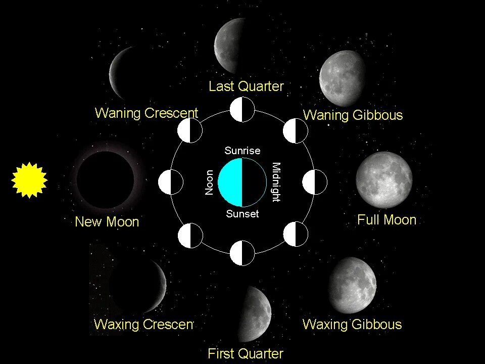 Фазы Луны phases of the Moon. Новолуние астрономия. Фазы Луны картинки. 8 Фаз Луны. Карта солнца и луны