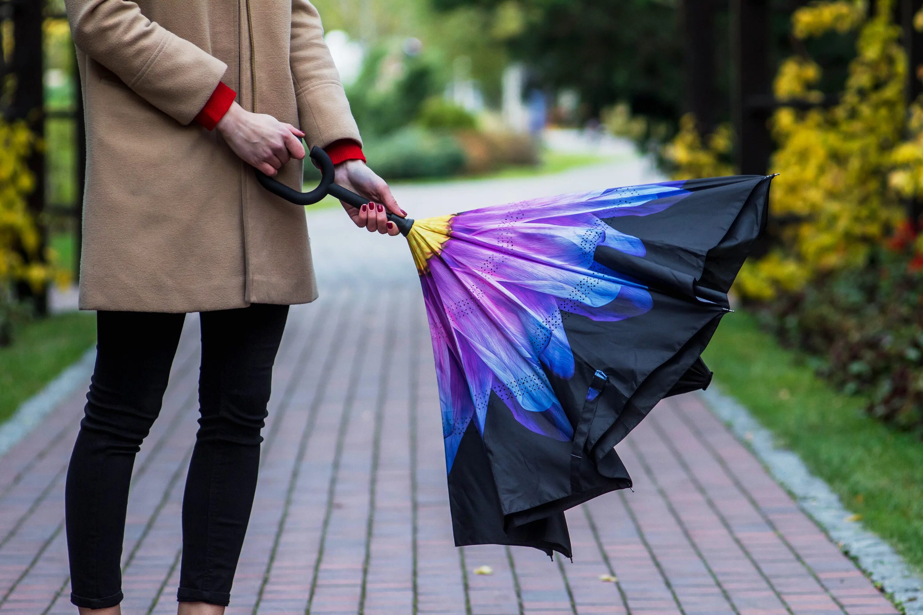 Зонт. Красивый зонт. Умный зонт. Модные зонты. Одолжил ей зонтик