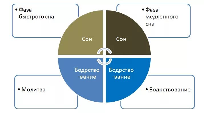 Сон человека медленный и быстрый. Диаграмма сна здорового человека. Фазы сна схема. Фаза медленного сна. Роль сна в жизни человека.