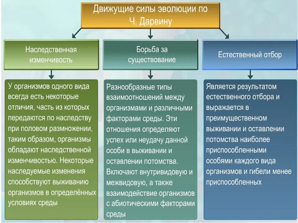 Движущие силы эволюции по Дарвину. Основные положения теории эволюции Дарвина. Движущие силы эволюции животных. Основные факторы и движущие силы эволюции. Наследственно измененный организм