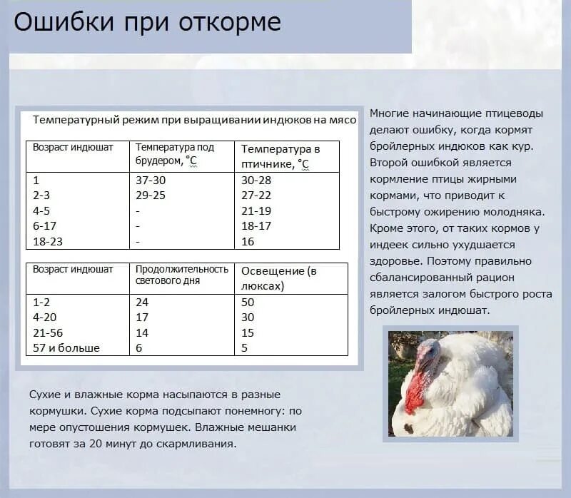 Содержание биг