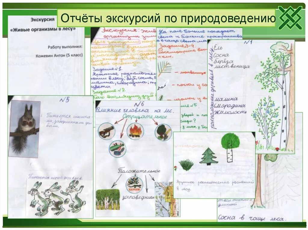 Урок проект биологии. Экскурсия по биологии. Отчёт по экскурсии по биологии. Отчет об экскурсии. Экскурсия по биологии 5 класс.