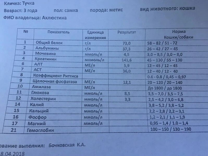 Альфа амилаза биохимия крови норма. Альфа-амилаза норма у женщин. Альфа амилаза анализ крови норма. Норма Альфа амилазы в крови. Альфа в моче норма