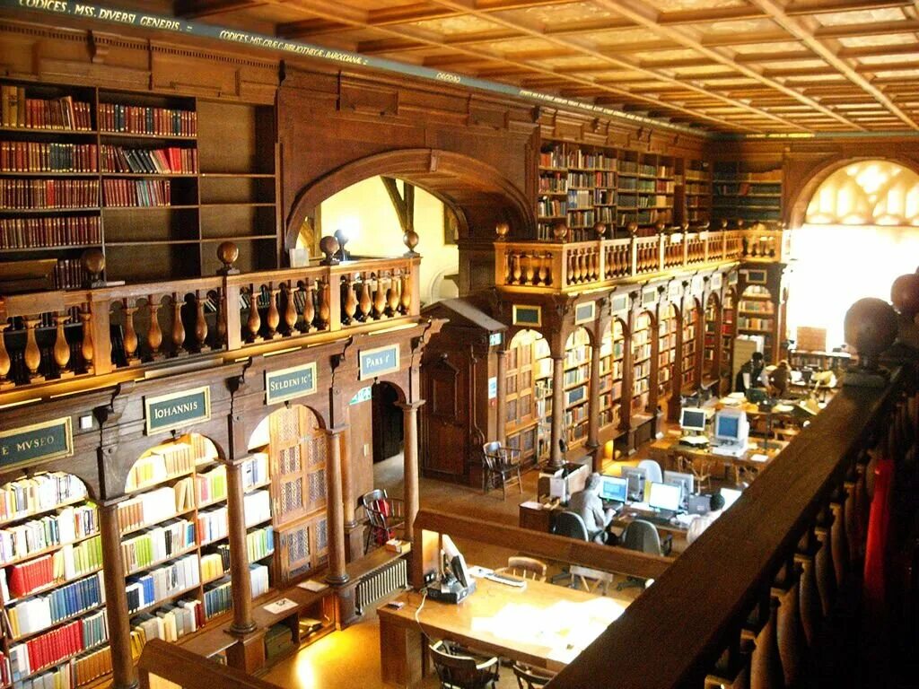 Бодлианская библиотека Оксфорд. Оксфордский университет библиотека. Библиотека Хогвартса Бодлианская библиотека Оксфорд. Бодлианская библиотека Оксфордского университета (Оксфорд, 1602).
