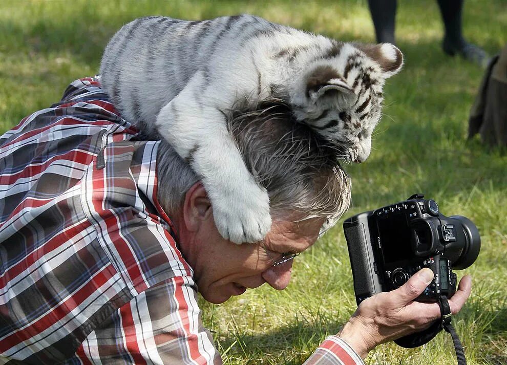 Фотографирование животных. Фотографы с животными. Фотограф фотографирует животных. Человек фотографирует животных.