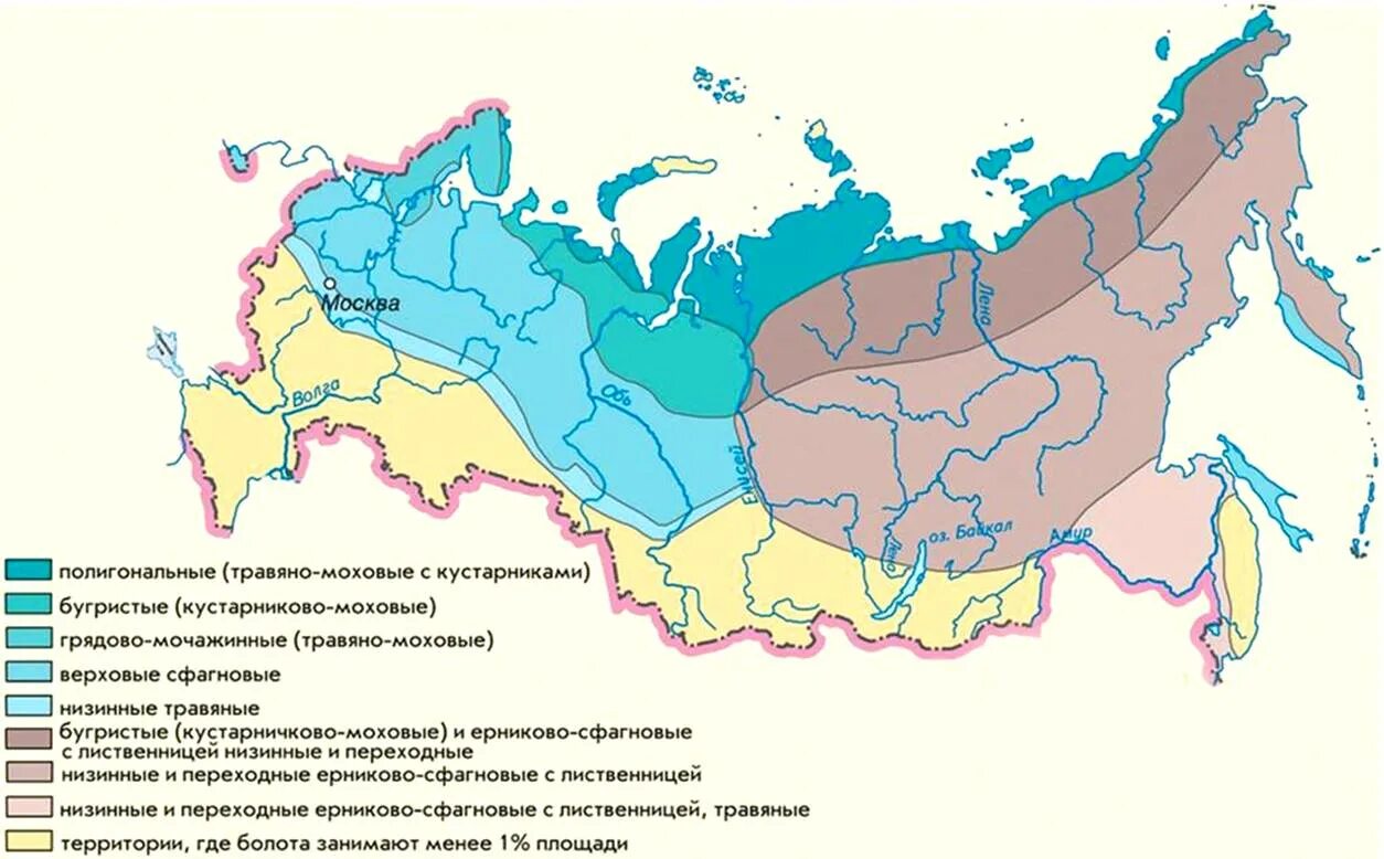 Карта болотистых. Карта распространения болот на территории России. Заболоченные территории России на карте. Районы распространения болот в России на карте. Области распространения болот в России.