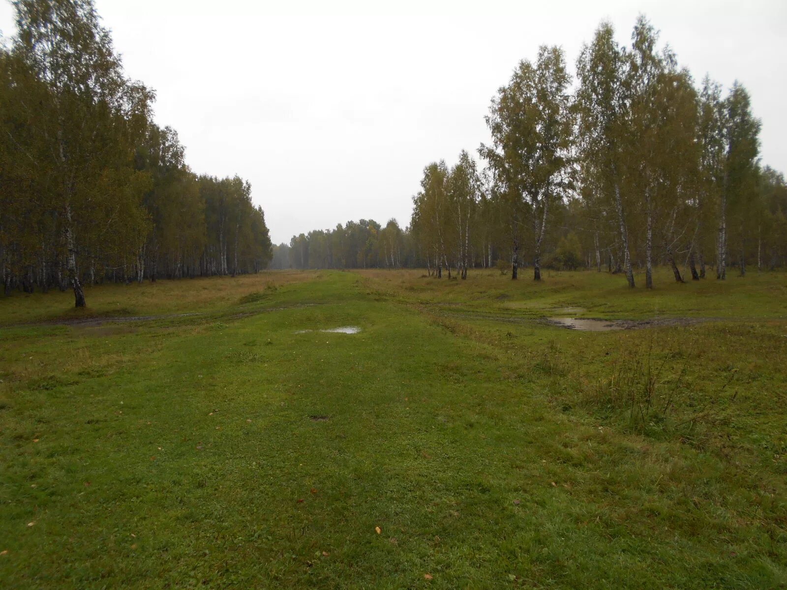 Село Бергамак Муромцевского района Омской области. Низовое Муромцевский район. Деревня мыс Омская область Муромцевский район. Окунева Муромцевский район.