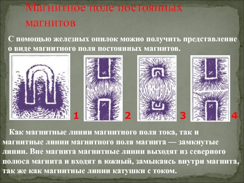 Магнитная линия проводника с током. Магнитное поле постоянного магнита. Виды полей у магнитов. Линии магнитного поля однородного магнитного поля. Магнитное поле физика.