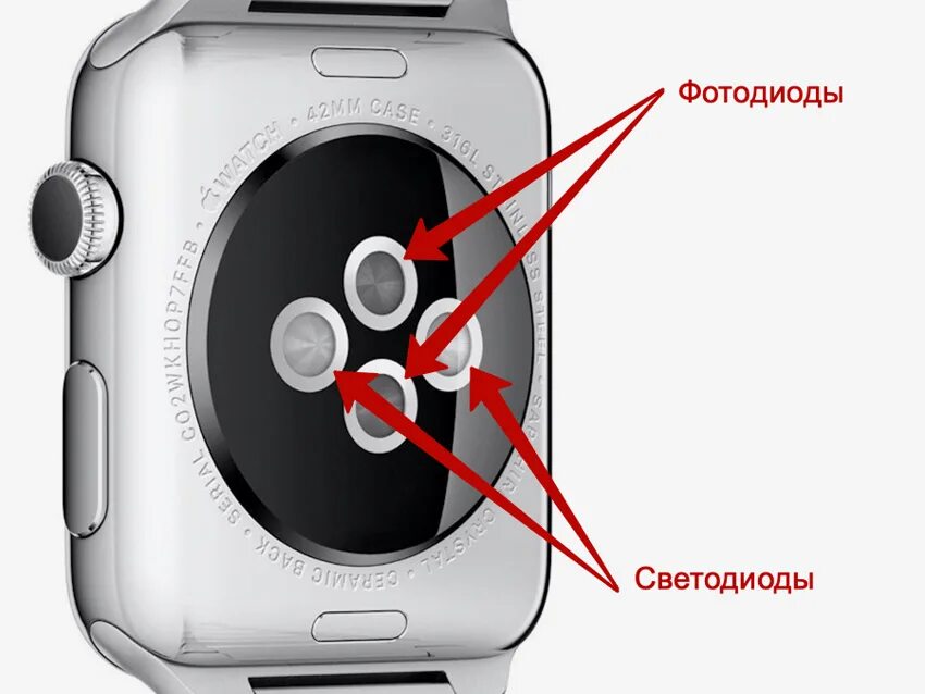 Индикатор на смарт часах. АПЛ вотч внутренняя сторона. Красный индикатор на смарт часах. Смарт часы мигают. Почему часы не высвечиваются