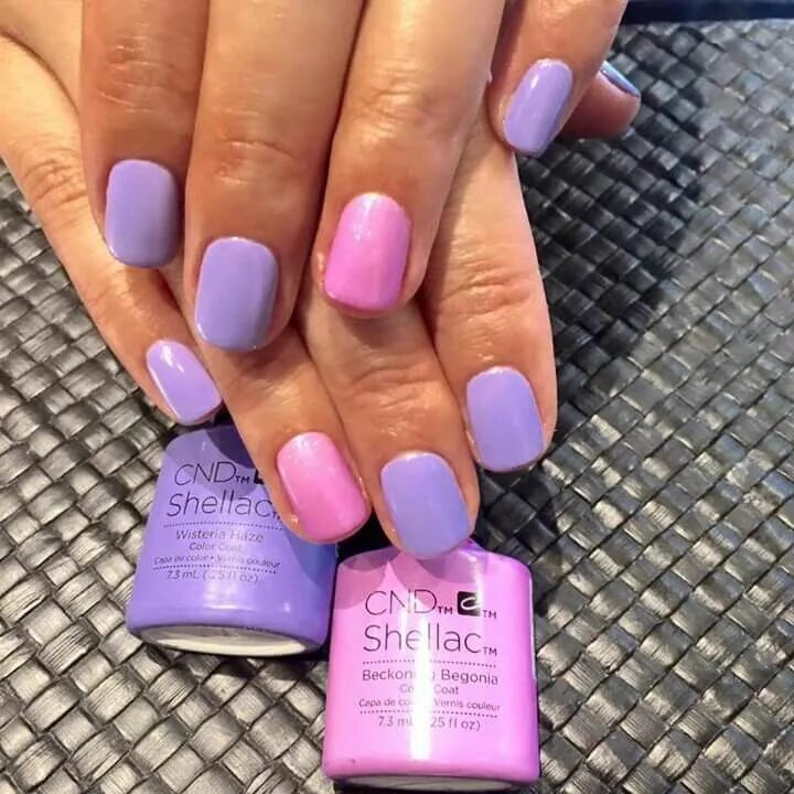Какие цвета шеллака