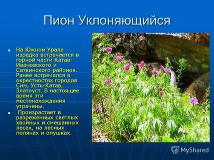 Растения из красной книги урала