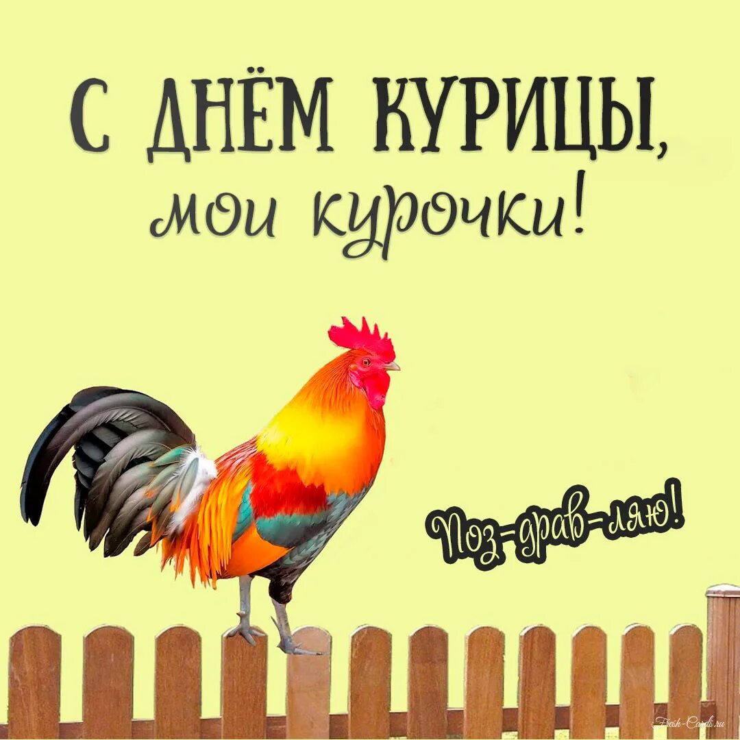 Открытка с курицей на день рождения. Открытка с днём рождения с курочкой. Всемирный день курицы. Всемирный день курицы 12 ноября. День курицы.