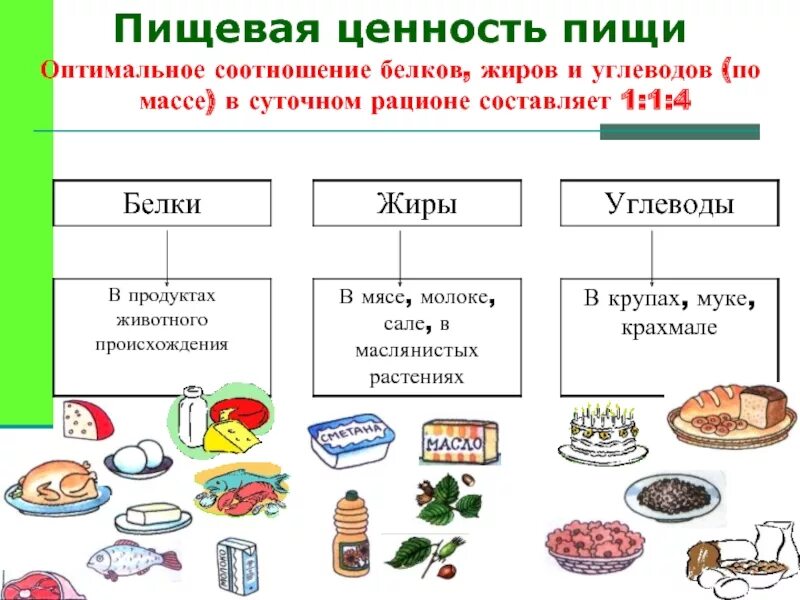 Соотношение белки жиры углеводы в пище составляет. Схема питания белки жиры углеводы. Рацион питания белки жиры и углеводы 1 1 4. Соотношение белки жиры углеводы в рациональном.